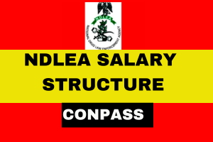 NDLEA SALARY STRUCTURE