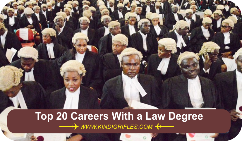Top 20 Careers With a Law Degree