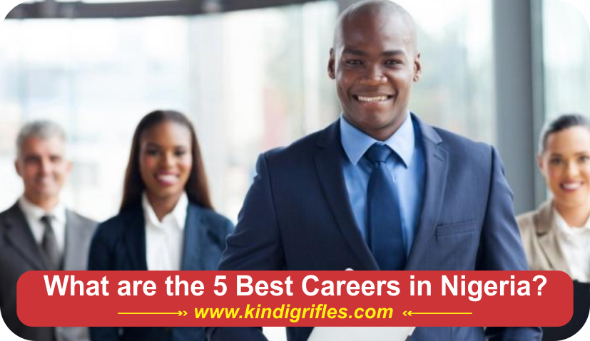 What are the 5 Best Careers in Nigeria