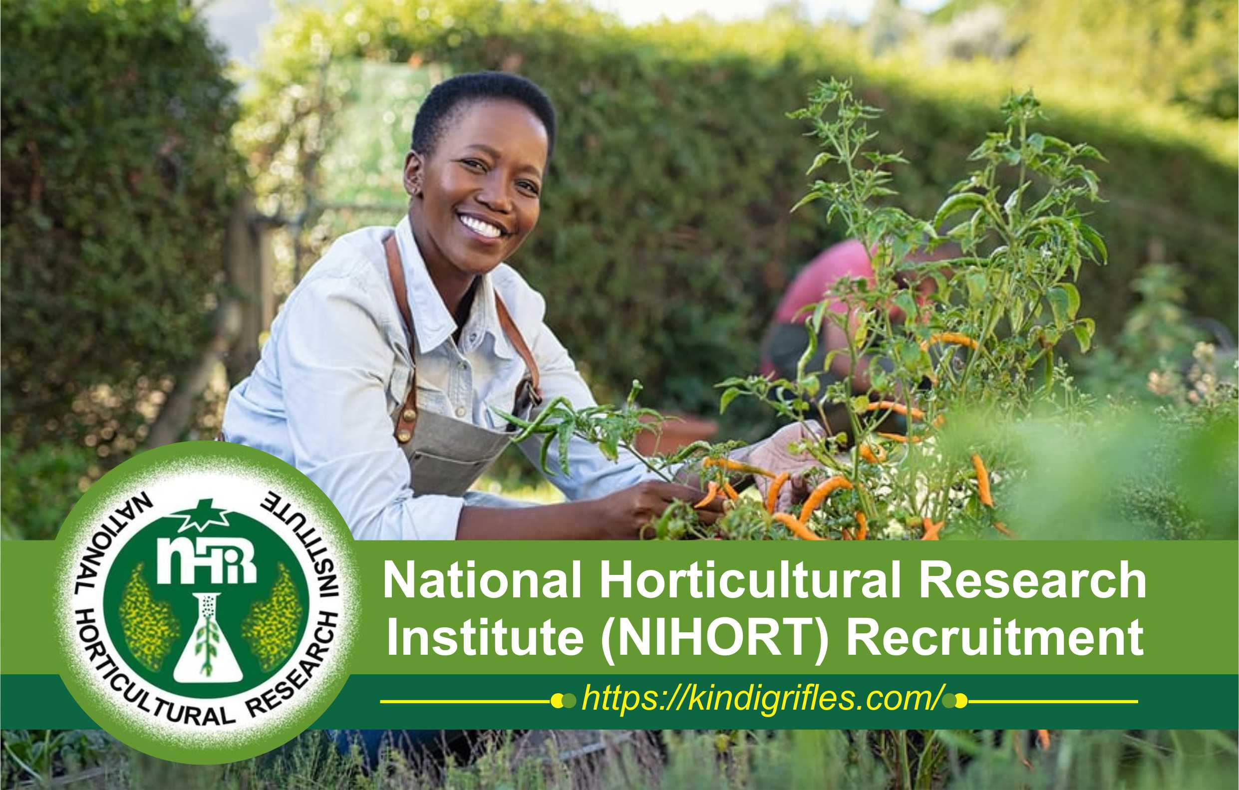 NIHORT Recruitment