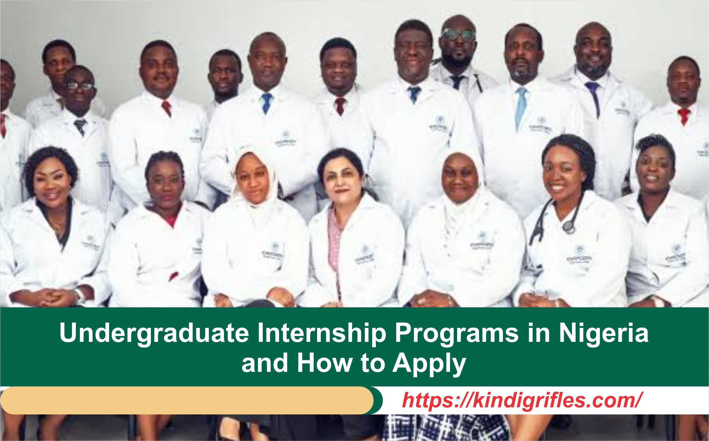 Undergraduate Internship Programs in Nigeria and How to Apply