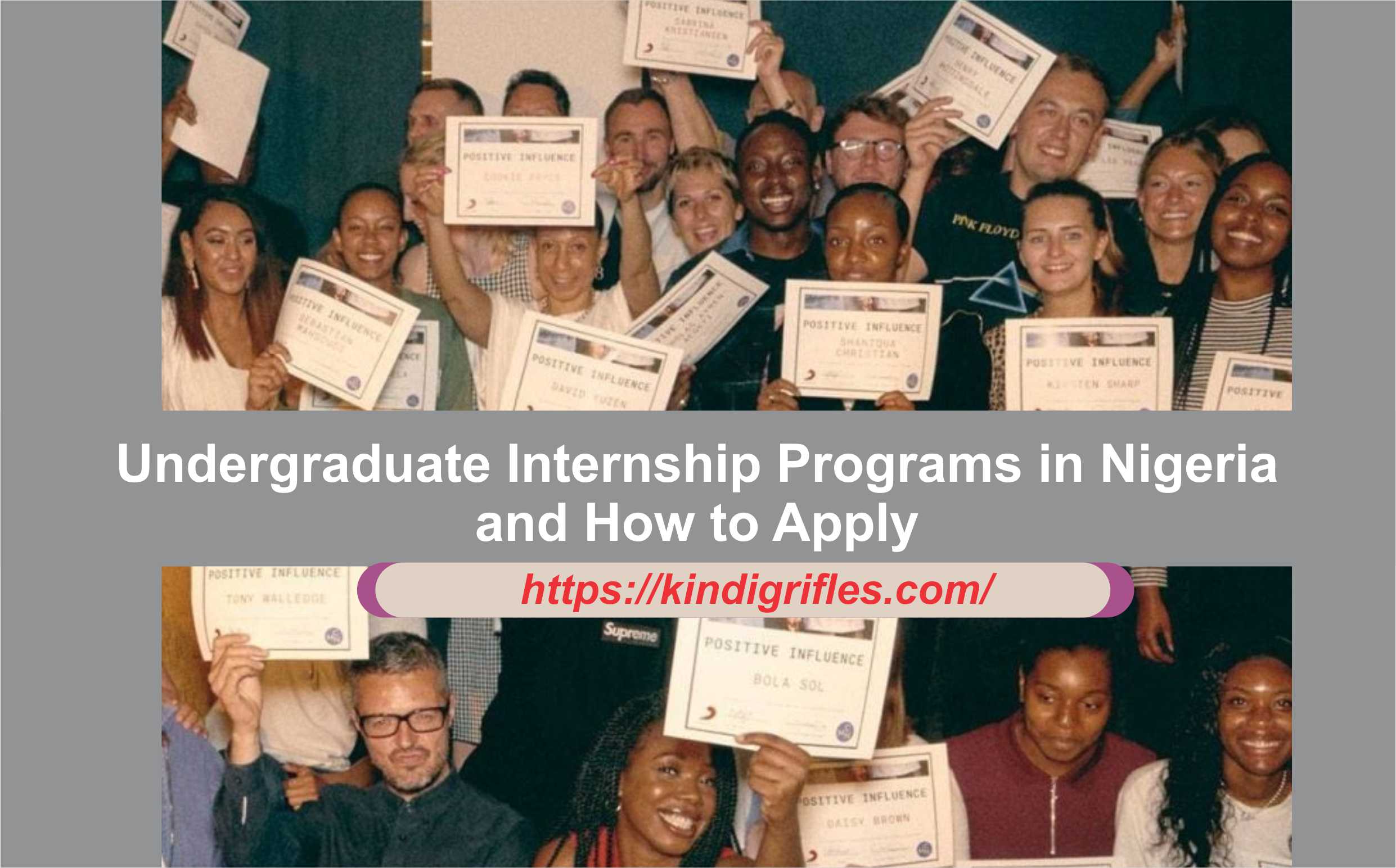 Undergraduate Internship Programs in Nigeria and How to Apply2