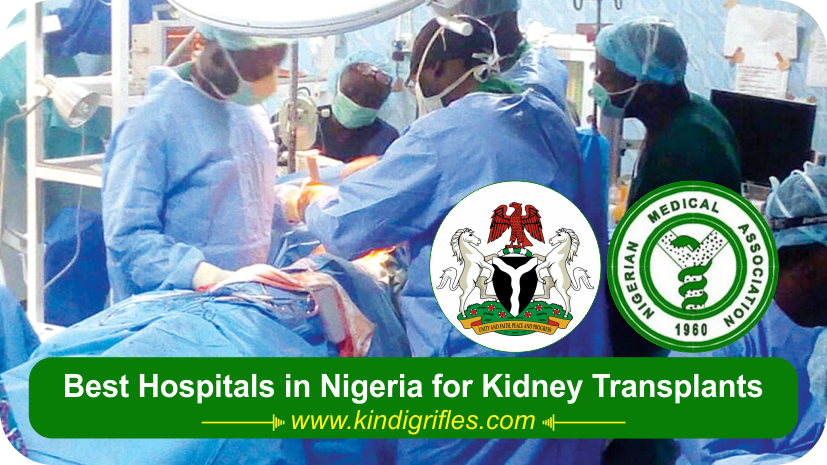Best Hospitals in Nigeria for Kidney Transplants