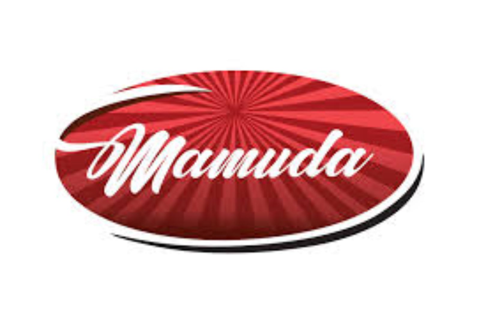 Mamuda Industries Nigeria Limited logo1