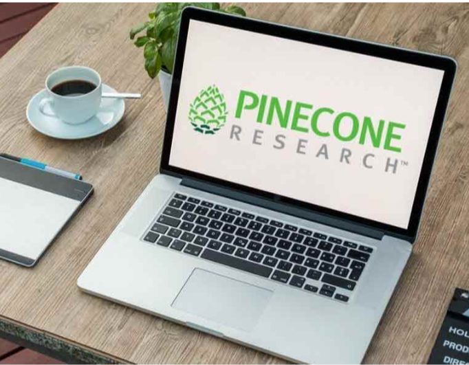 Pinecone research