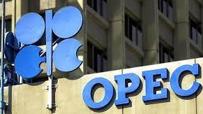 OPEC Recruitment
