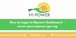 How to Login to Npower Dashboard in 2024 - www.npvn.npower.gov.ng